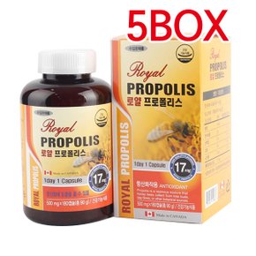 캐나다직수입 로얄 프로폴리스 500mg*180캡슐 5BOX