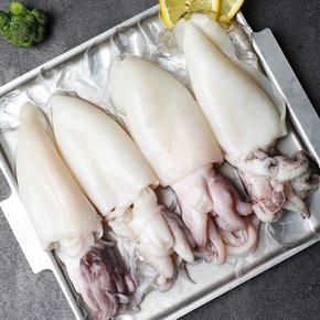 쫄깃탱글 손질 통 갑오징어 200g (소/2미)