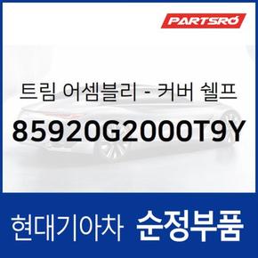 트림-커버 쉘프 사이드,우측 (85920G2000T9Y)  아이오닉 하이브리드, 아이오닉 하이브리드 19, 아이오닉 전기차, 아이오닉 전기차 19