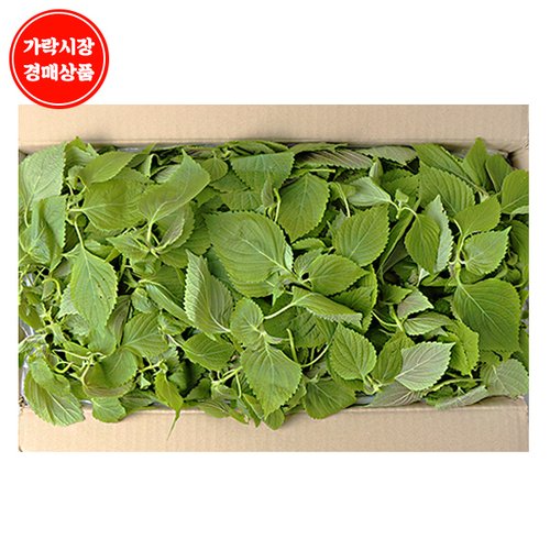 상품이미지1