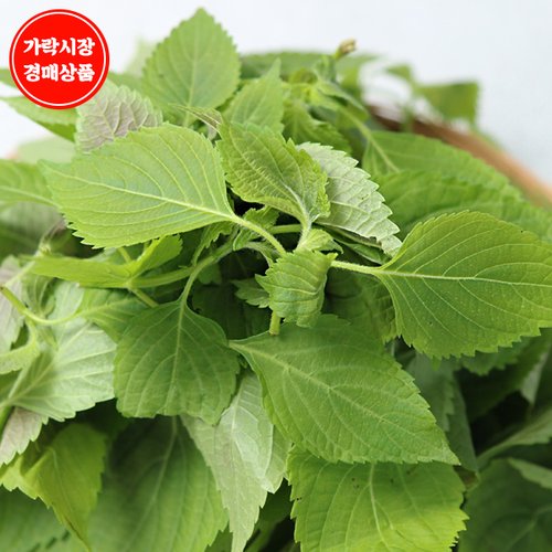 상품이미지2