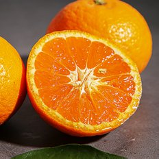 제주푸드마씸 제주 화산송이 고당도 카라향 4.5kg (실속형 혼합과)