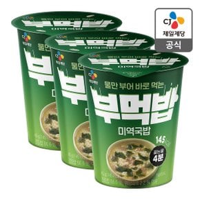 [본사배송] 부먹밥 미역국밥 45g X 3개