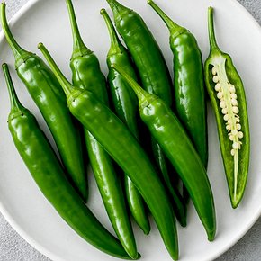 산지직송 국내산 아삭이고추(상) 1kg