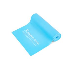 엑서사이즈밴드 상급자용_ 블루[35865773]