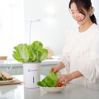 제이큐 화분형 식물재배기 수경재배 스마트팜 재배기