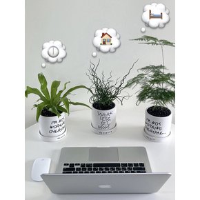 하드워커 - 레터링 팟 (10plants 2pots)