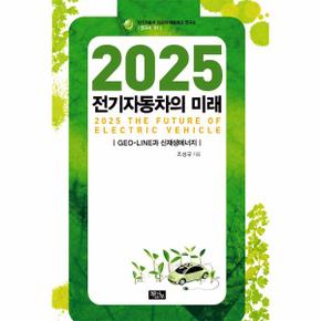 2025 전기자동차의 미래