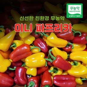 [최상품] 하프팜 친환경 무농약 미니 파프리카 (혼합) 250g,500g,1kg,2kg