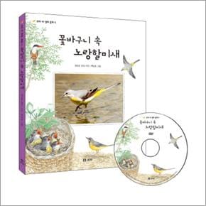 꽃바구니 속 노랑 할미새 (CD1장포함)