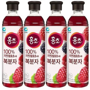 블루베리 홍초 대상 청정원 복분자 900ml x 4개입
