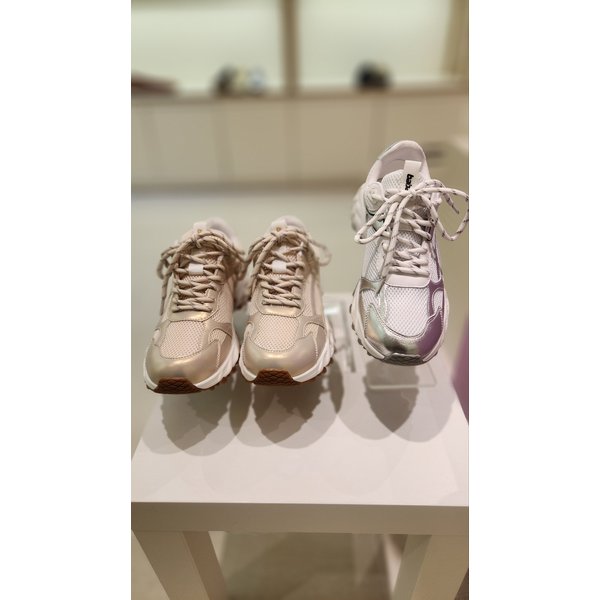 [여주점] 바바라 메쉬 스니커즈 2컬러 BBI602