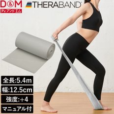 5.4m TB-6 D&M 테라 밴드 트레이닝 밴드 트레이닝 튜브 세라 밴드 실버 실버 스트렝스 레벨+4