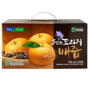 태백농협 5년근 도라지 배즙 100ml x 30포