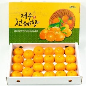 제주 산지직송 천혜향 5kg 중소향(26-40과)