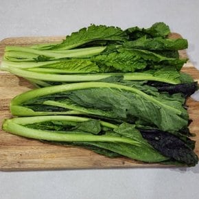 톡쏘는 향이 일품인 부드러운 국내산 노지 홍갓 1kg (푸드)