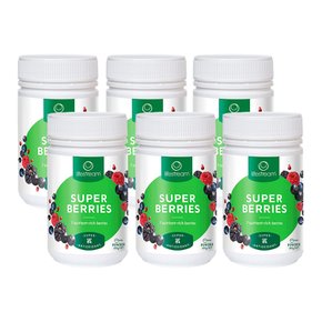 뉴질랜드 라이프스트림 슈퍼 베리 파우더 분말 100g BERRIES 6팩