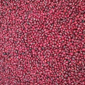 팥 500g
