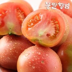 싱싱한 찰 토마토 대과 (1-2번과) 3kg