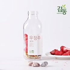 전남 담양 담금주 키트 딸기주500ml 우정주