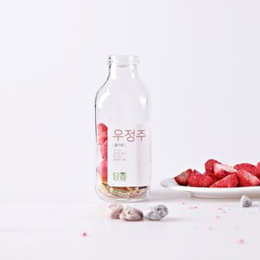 전남 담양 담금주 키트 딸기주500ml 우정주