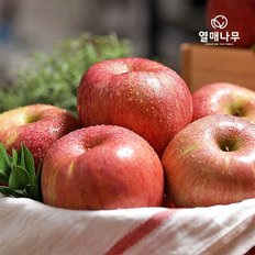글로벌푸드 [과일愛]당도선별 사과 3kg+3kg 가정용 대과/7~9과