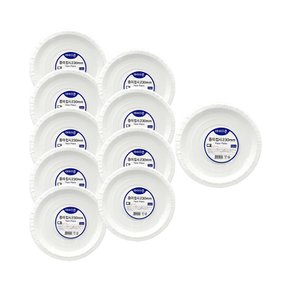 스타배송_아이존 종이접시 230mm 10개입 x 10개 / 일회용접시 일회용기