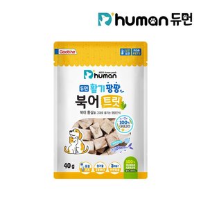 활기팡팡 북어트릿 40g