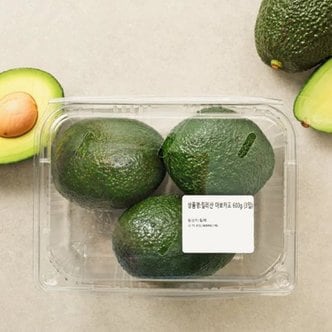  [칠레산] 아보카도 (3입, 600g)