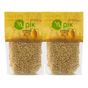 Yupik 유기농 카무트 카뮤트 680g 2팩