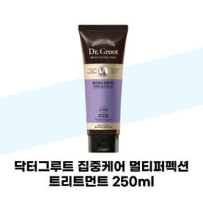 닥터그루트 집중케어 멀티퍼펙션 트리트먼트 250ml X 1개