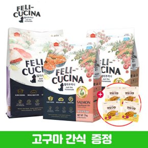 펠리쿠치나 3kg 소프트사료 + 간식증정_P338146150