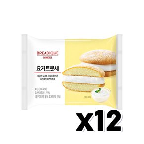 브레디크 요거트붓세 베이커리빵 43g x 12개