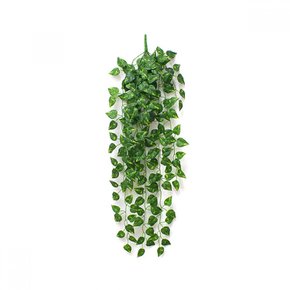 [월데코] 담쟁이 넝쿨(90cm)