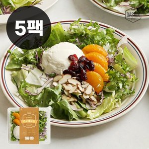 다신샵 탄단지 균형잡힌 프리미엄 도시락 한스푼샐러드 리코타치즈 5팩 (무료배송)