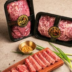 [힘찬한우] 등바구니4호 선물세트 4.8kg (등심,채끝 각 1.2kg씩, 안심,갈비살,치마살,부채살 각 600g씩 / 1++등급)(근내지방도 7이상)