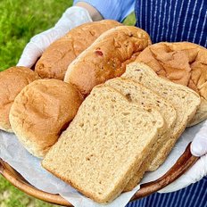 흰밀가루 없는 100%통밀빵 비건빵 통밀식빵 통밀모닝빵 통밀견과빵 통밀단팥빵