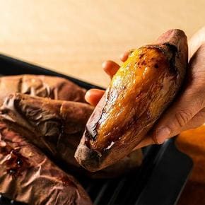 26년 해남 한입 세척 밤고구마 5kg