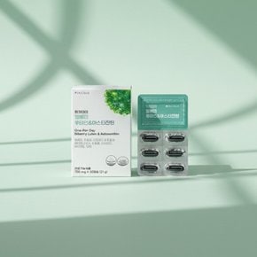 원퍼데이 빌베리 루테인  아스타잔틴 700mg x 30캡슐