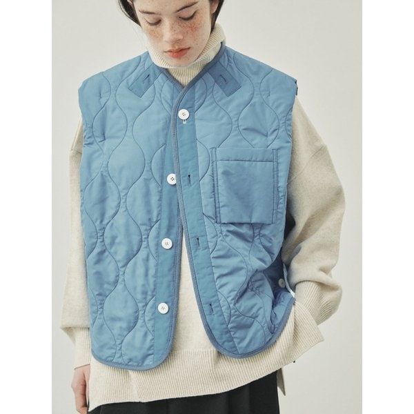 DELPHOE PVT BLUE