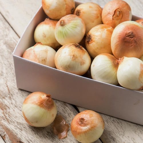 전남 고흥 거금도 햇양파 3kg 대 (요리용)