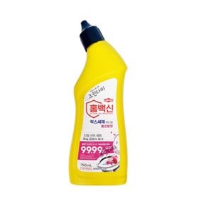 홈백신 락스세제 하나로 세정제 플로랄향 750ml x1개