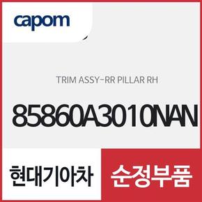 리어 필라 트림,우측(조수석쪽) (85860A3010NAN) 레이