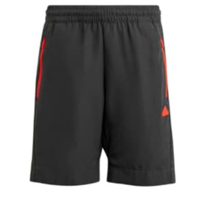 U CE Q2 SHORT (HR6275)_DG
