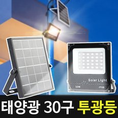 태양광정원등 30구 투광등 (B타입) 정원등 태양열 야외 LED 잔디등 문주등 태양열정원등