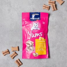 비타크래프트 캣얌 치즈 40g