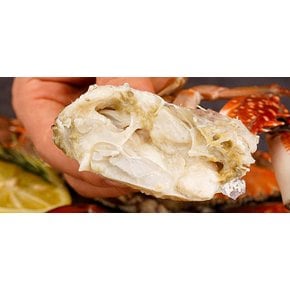 26년 제철 활 숫꽃게 1kg (kg당4-5미/서해안 꽃게)