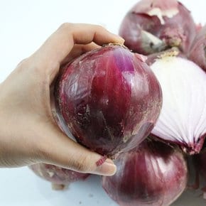 [팔도농장] 무안 자색양파(중) 3kg