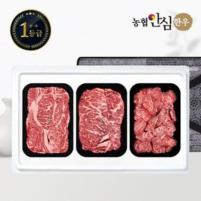 [냉장] 1++(7)등급 한우 선물세트 구이정육1호 900g (등/채/국)