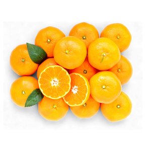 제주농부들의 제철 노지감귤 4.5kg (로얄과 2S-M)